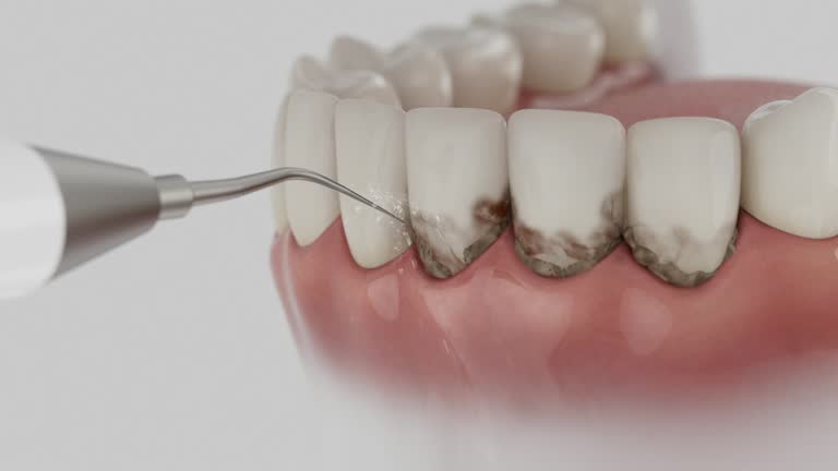 Reliable Dental contractor in Fayette County County, OH by Dentist Open Now